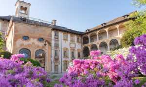 villa nigra