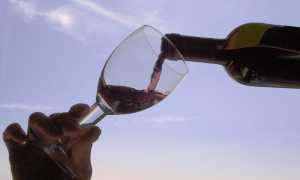 vino