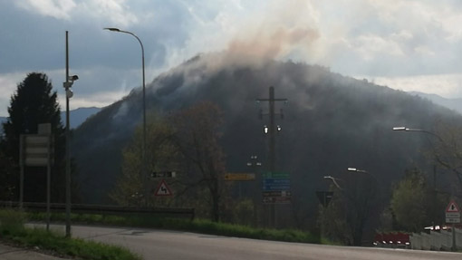 carcegna 1