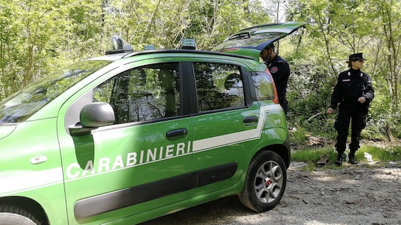 carabinieri forestale bosco