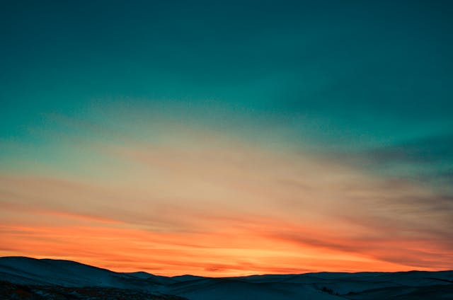 alba foto