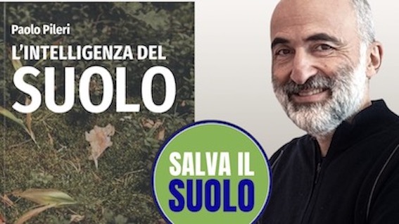 pileri miasino foto