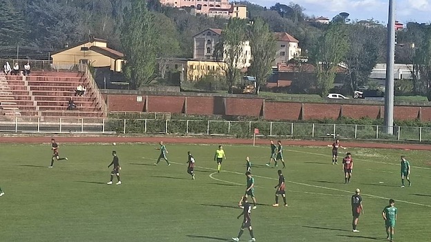 fezzanese gozzano