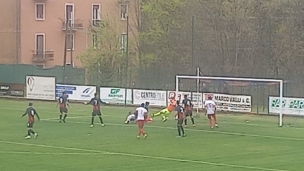 goz bra 1