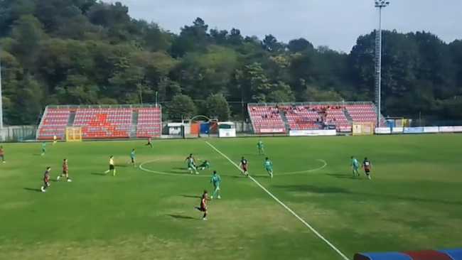 gozzano novaromentin