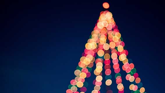 albero natale luci