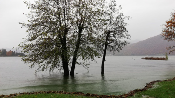 pettenasco lago