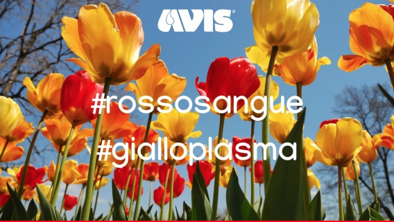 Schermata 2022 01 28 alle 16.09.09