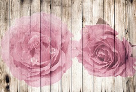 shabbychic270