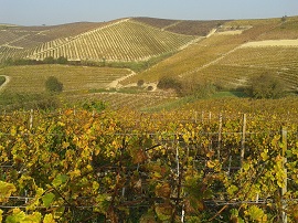 monferrato270