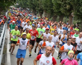 mezza vco 2015