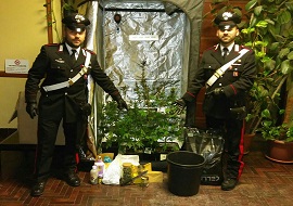 carabinieri del Vco270