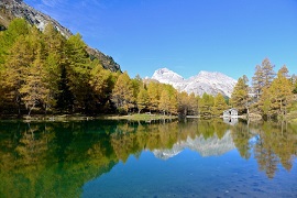 coldiretti 14 gennaio270
