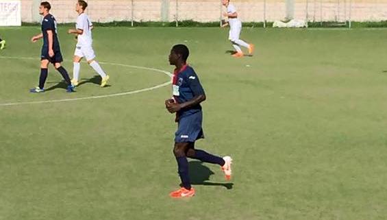 gozzano sarr